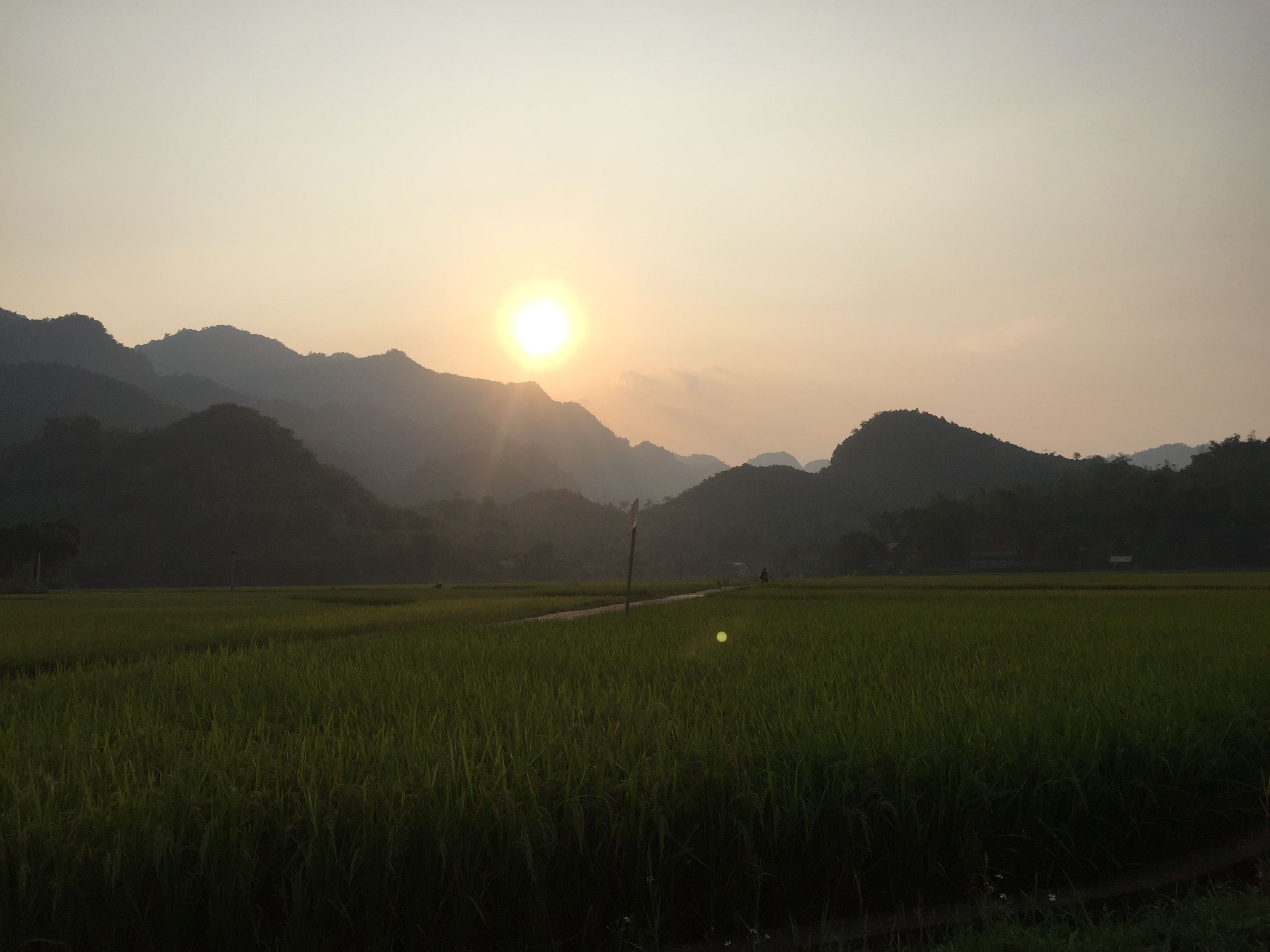 A rural landscape with a sun setting behind hills, a clear sky, and a green field in the foreground.