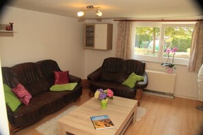 Televisión y chimenea 