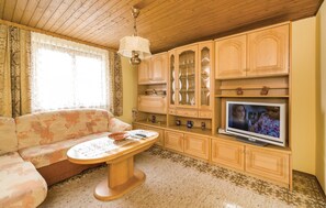 Fernseher, Kamin