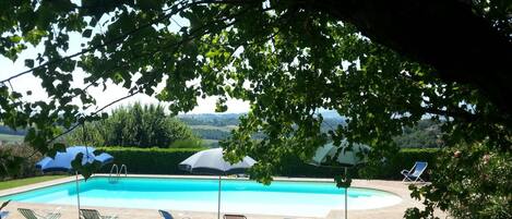 Seasonal outdoor pool, sun loungers