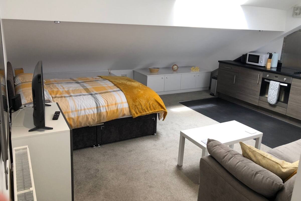 Un dormitorio tipo loft moderno con cama, televisor, escritorio, kitchenette y sofá.
