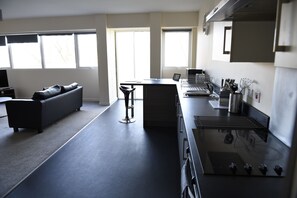 City Apartment, 2 Bedrooms (29) | City view