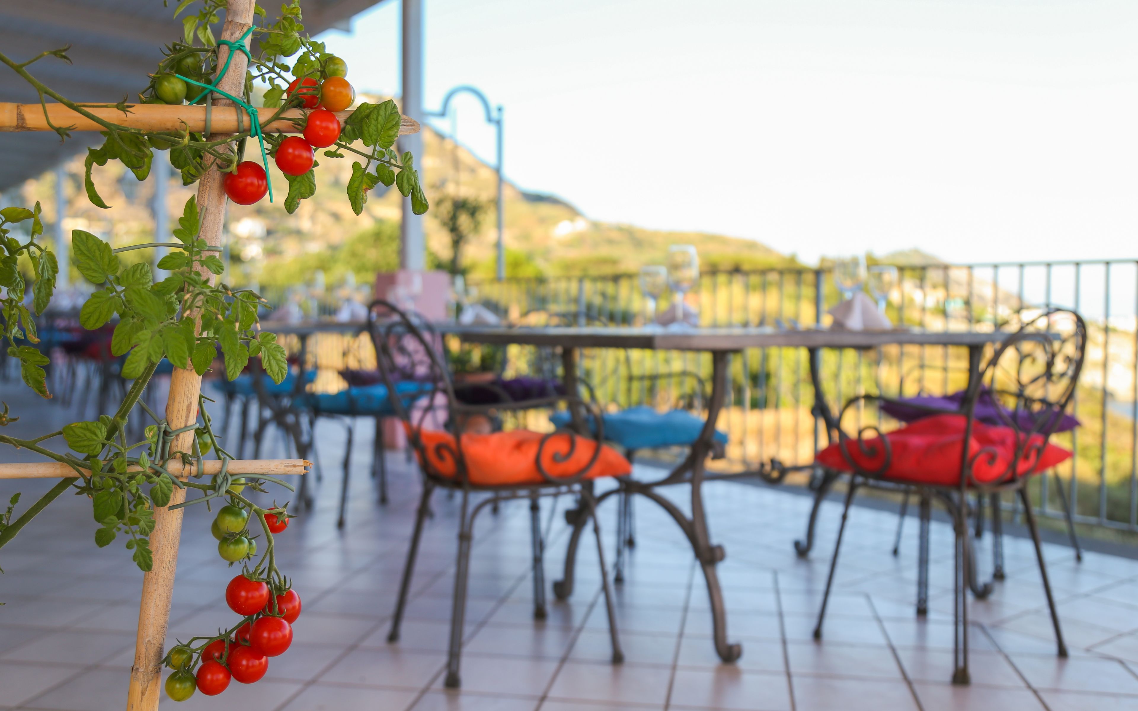 A terrace with a table and chairs, a hanging tomato plant, and a view of the landscape.