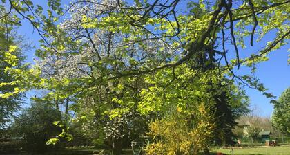 Appartement Elster (OG) - Gutspark Schwarzbe avec ferme équestre - Maison de vacances 1