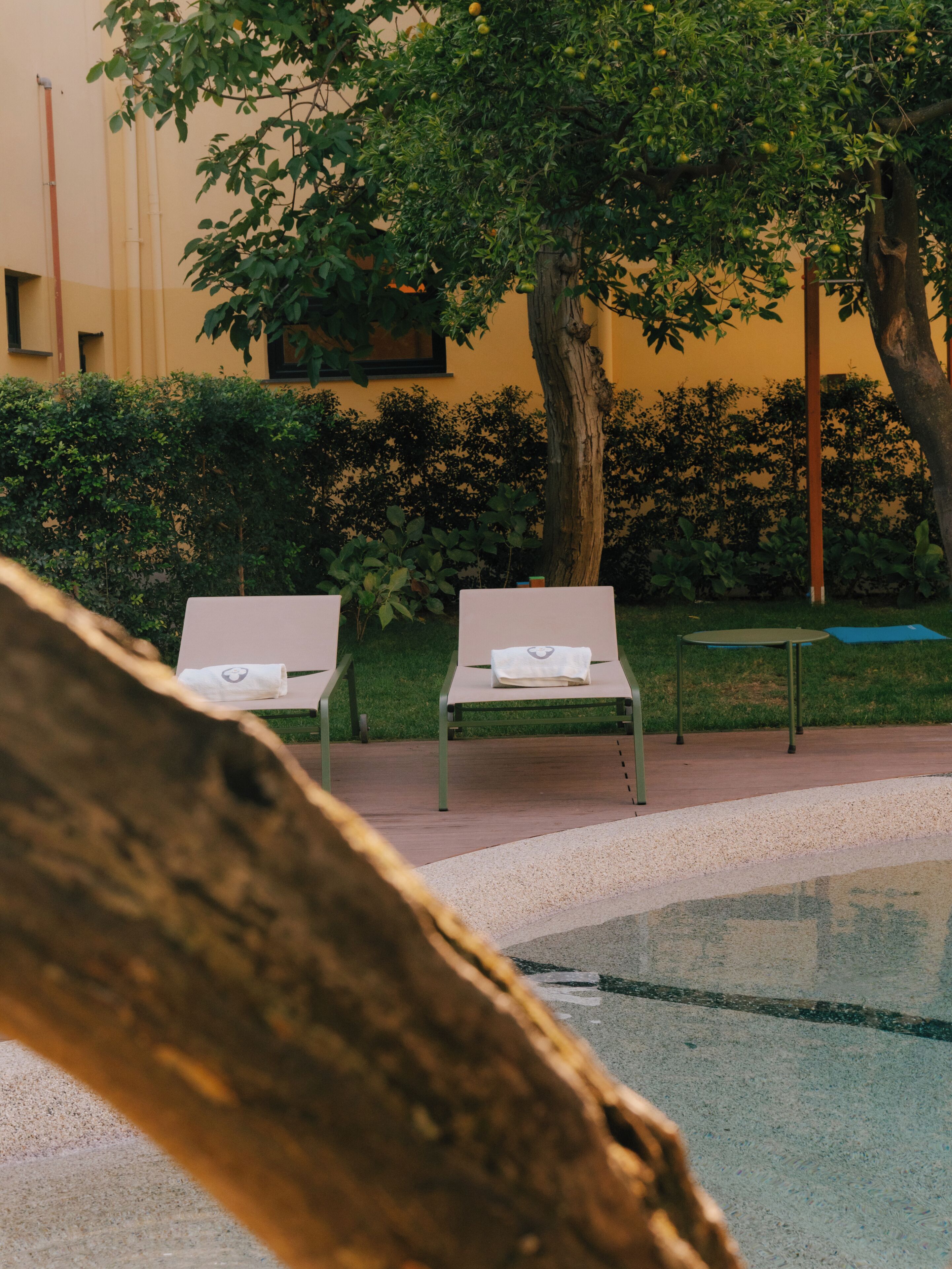 Un espacio al aire libre tranquilo con dos sillones, una mesita y un árbol.
