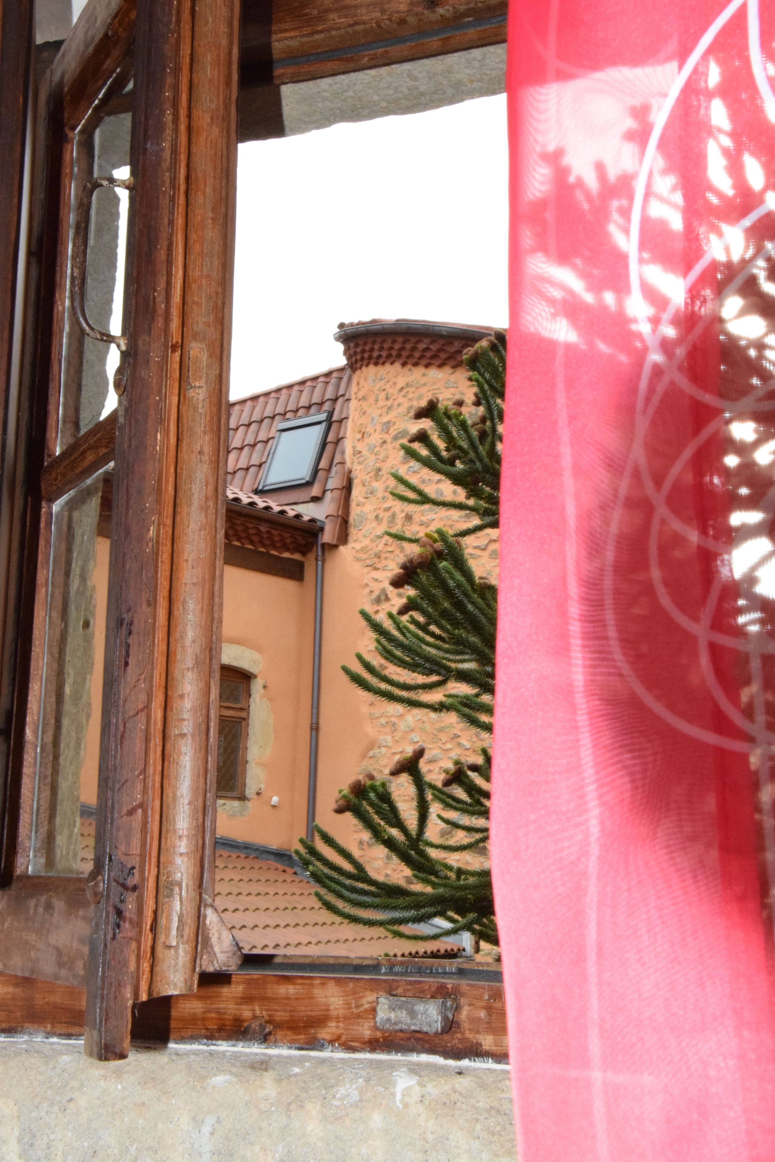 Ein Fenster mit Blick auf ein Gebäude mit einem Ziegeldach und einer Kaktee vor der Fassade.