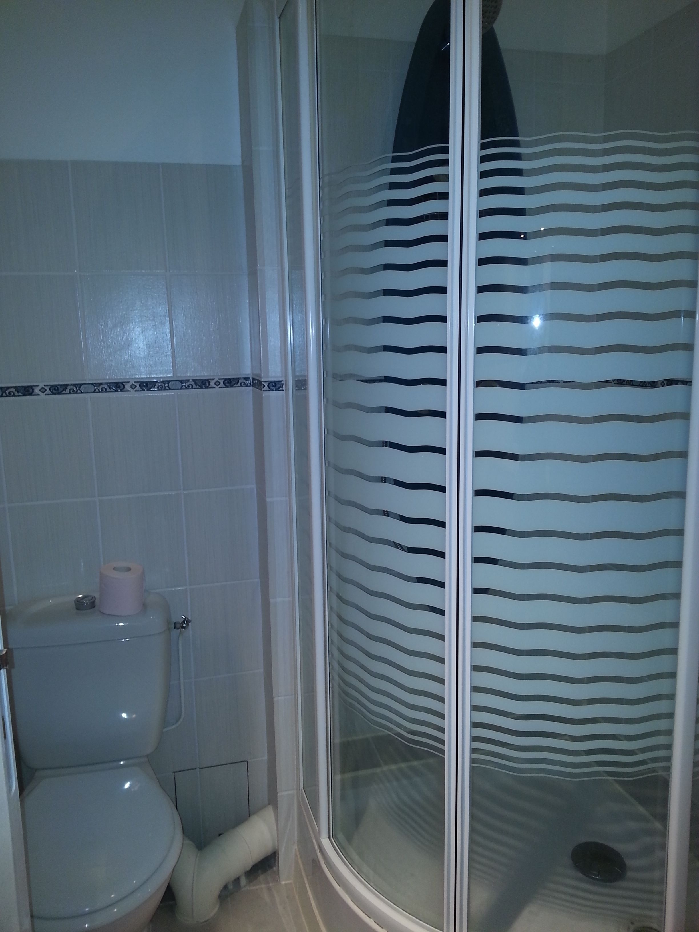 A bathroom with a toilet, a shower with a frosted glass door, and a toilet paper roll on the tank.