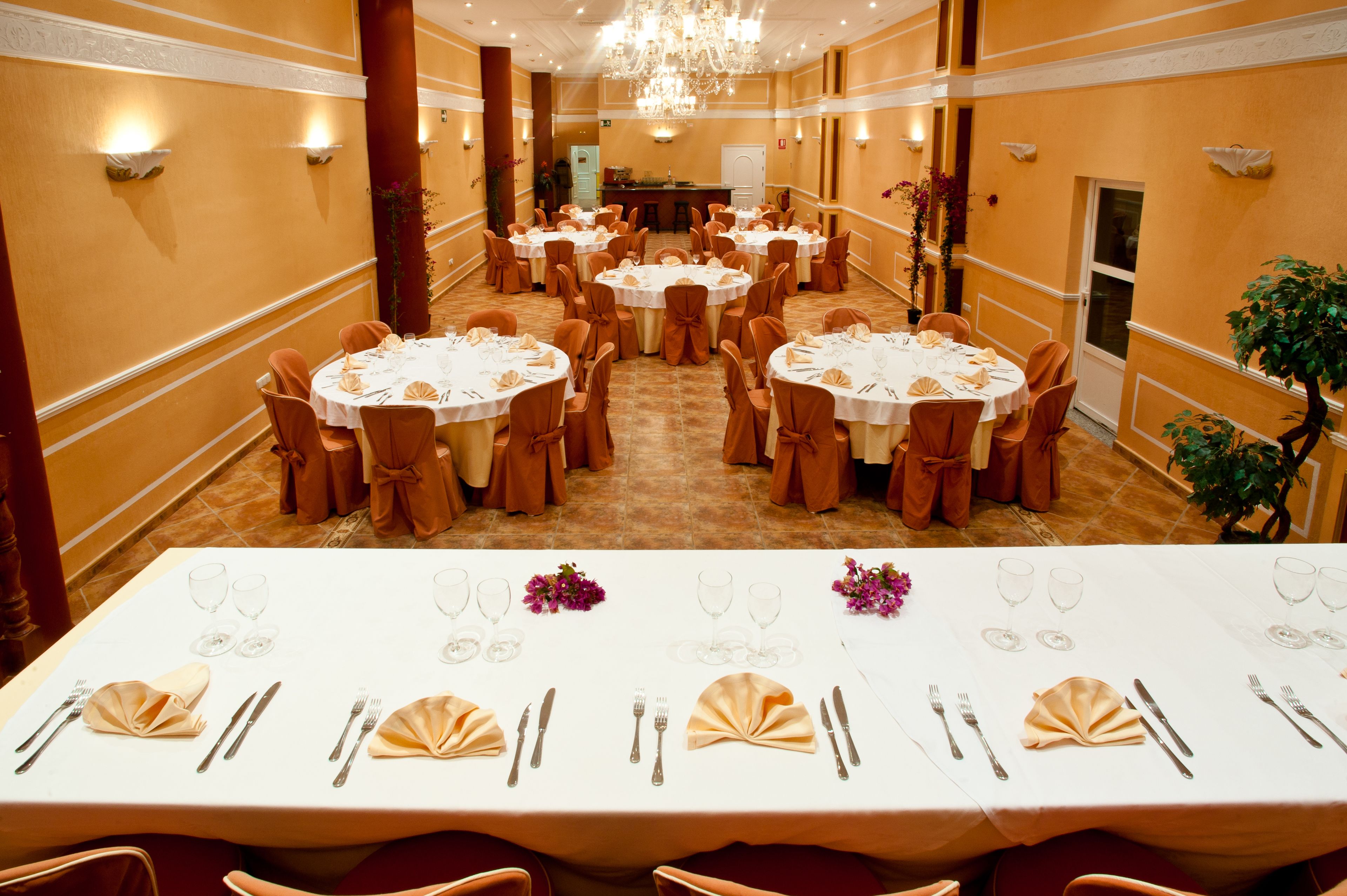 Photo - Hotel Costa Blanca Rojales