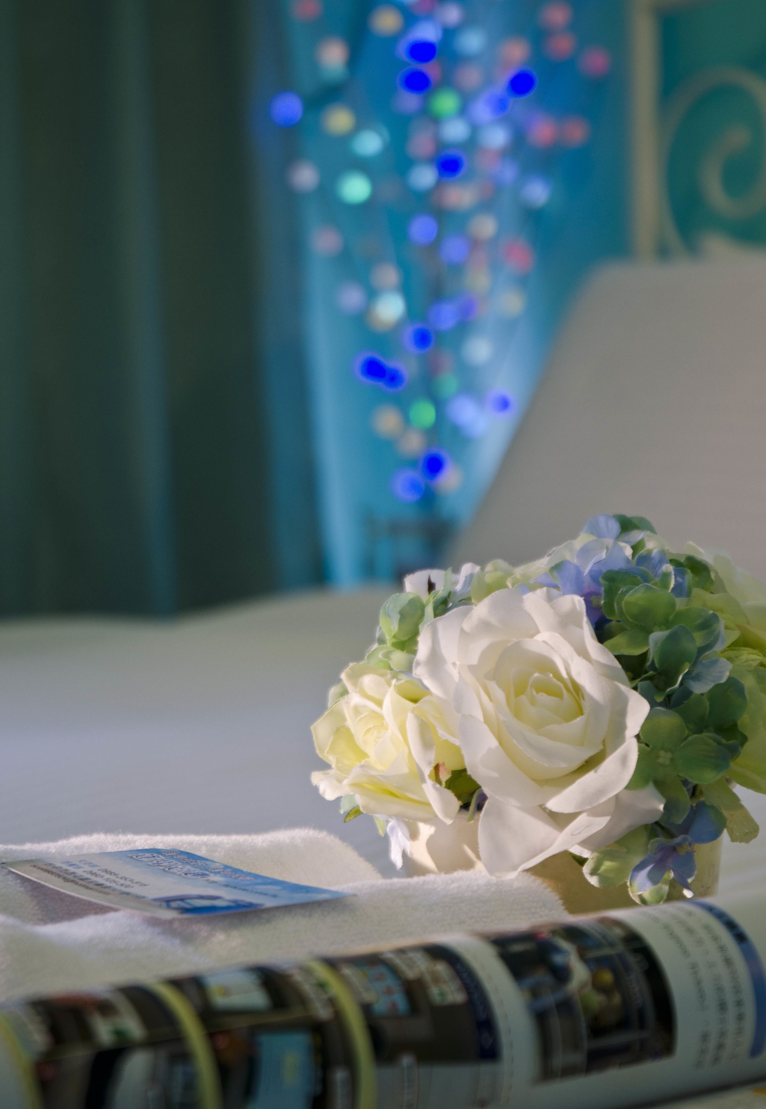 双人房 | 内部细节