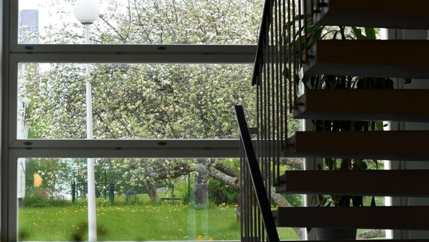 A room with a large window overlooking a garden with blooming trees and a fence.