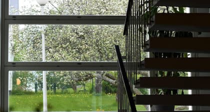 Budget Hotel Easystay