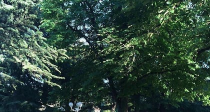 Le Parc aux CĂšdres