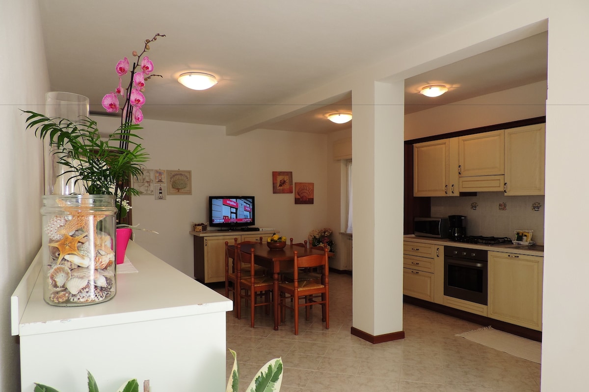A compact kitchen with a dining area, a TV, and a decorative plant.