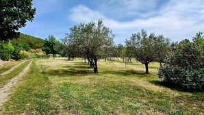 A grassy area with trees and a dirt path. - Quiet cottage in the countryside (Figanières)