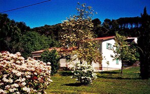 Esterni