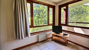 Een kamer met een televisie op een houten standaard, grote ramen met uitzicht op een bos, en een radiator onder de ramen.