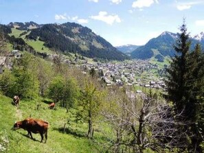 A mountainous landscape with a valley and a small town.