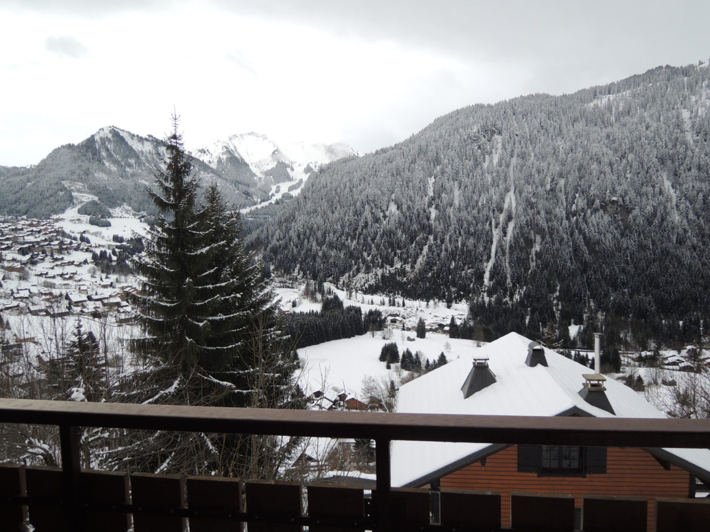 A mountain landscape with snow-covered trees and a village in the valley.