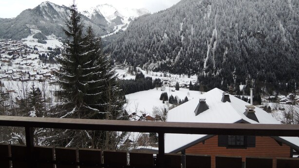 A mountain landscape with snow-covered trees and a village in the valley.