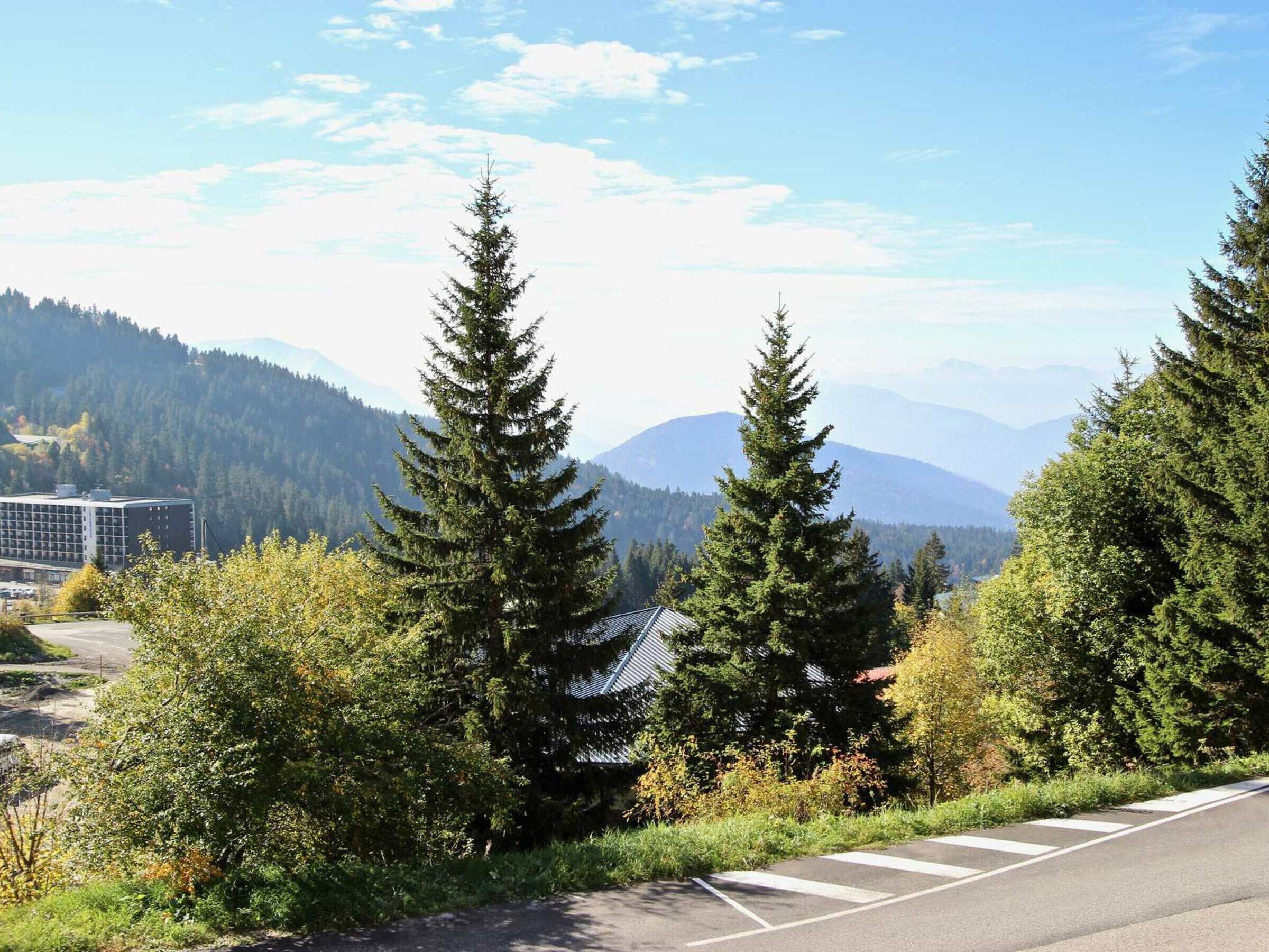 A road with a pedestrian crossing, surrounded by evergreen trees and a building with a sloped roof.