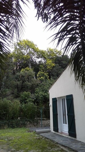 Property grounds - Villa Rokemar - CAVALAIRE (Cavalaire-sur-Mer)