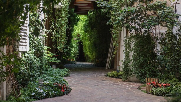 A narrow stone pathway flanked by lush greenery and climbing plants, leading to a building entrance. - A1G Dreaming (París)