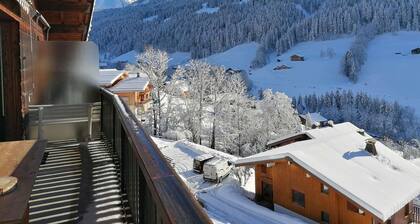 Cozy apartment with fireplace and balcony, sleeps 6, Le Grand-Bornand