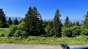 Vista de una carretera con denso bosque y montañas al fondo.