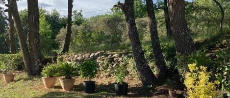 Overnattingsstedets uteområder