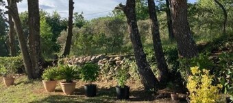 VAUTRAIN - Artignosc-sur-Verdonissa