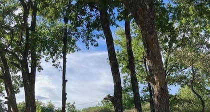 Vautrain - Artignosc-sur-Verdon