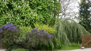 A gravel driveway leading to a wooden gate, surrounded by various shrubs and trees. - Cozy detached house with fireplace and enclosed garden in Normandy (Couville)