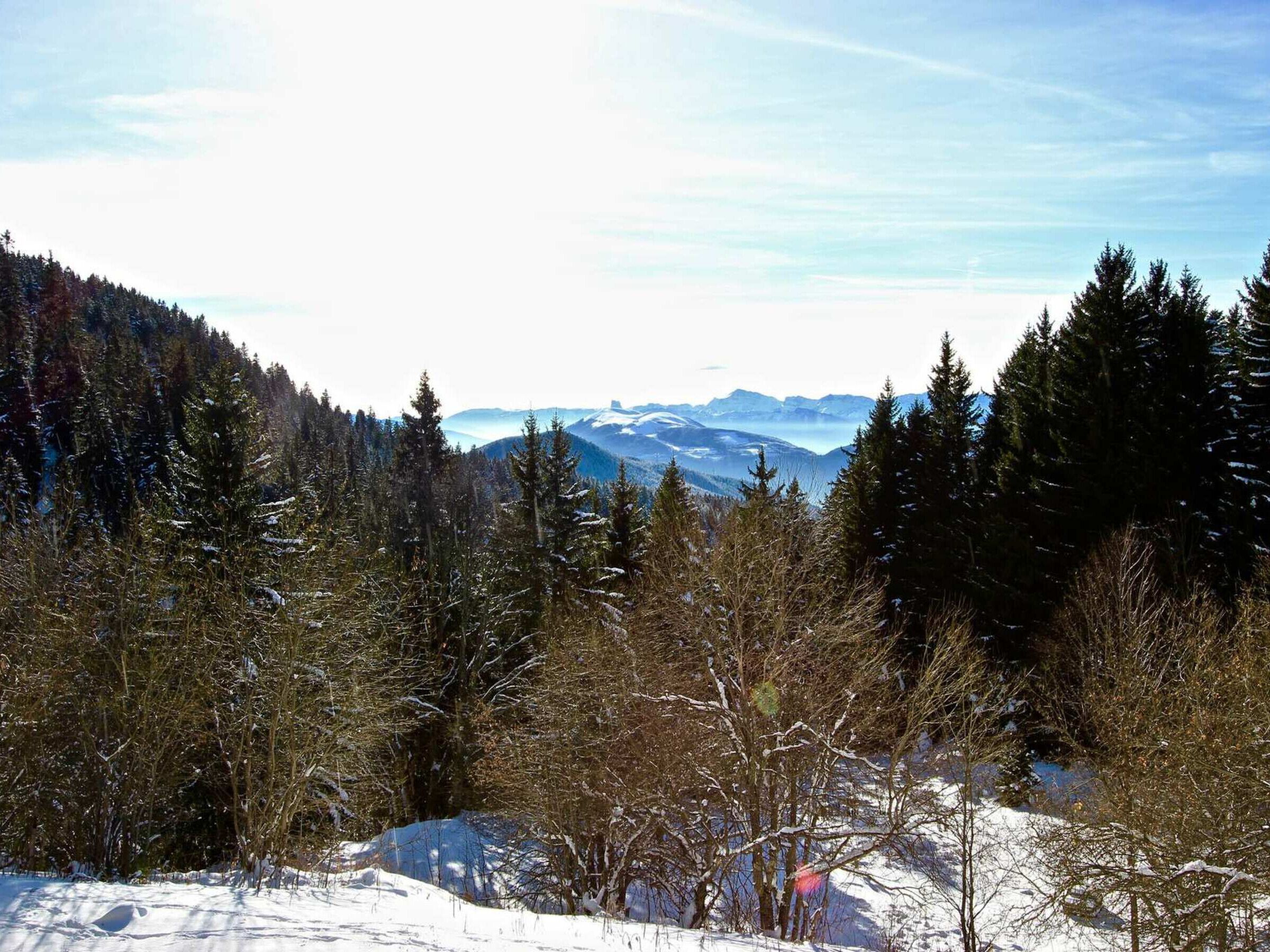 Eine gebirgige Landschaft mit dichten Wäldern und schneebedecktem Gelände.