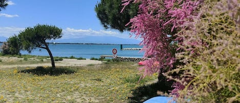 Plage