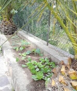 Property grounds - La Licorne - Saint Raphael (Saint-Raphaël)