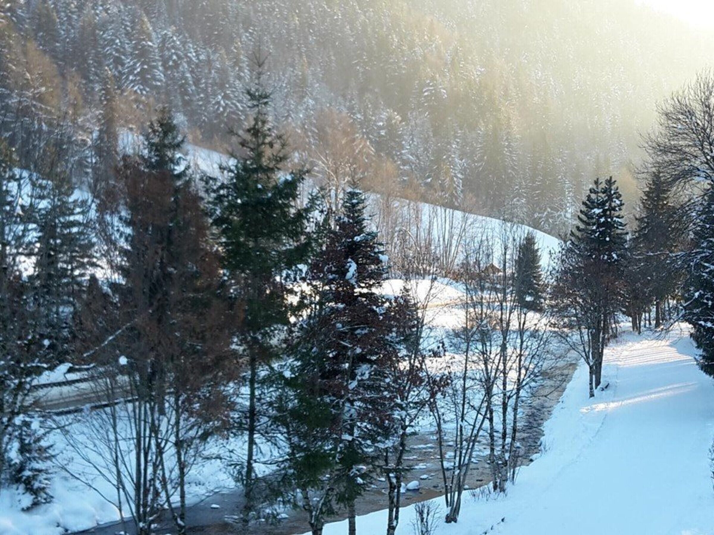 A snowy landscape with a path and trees.