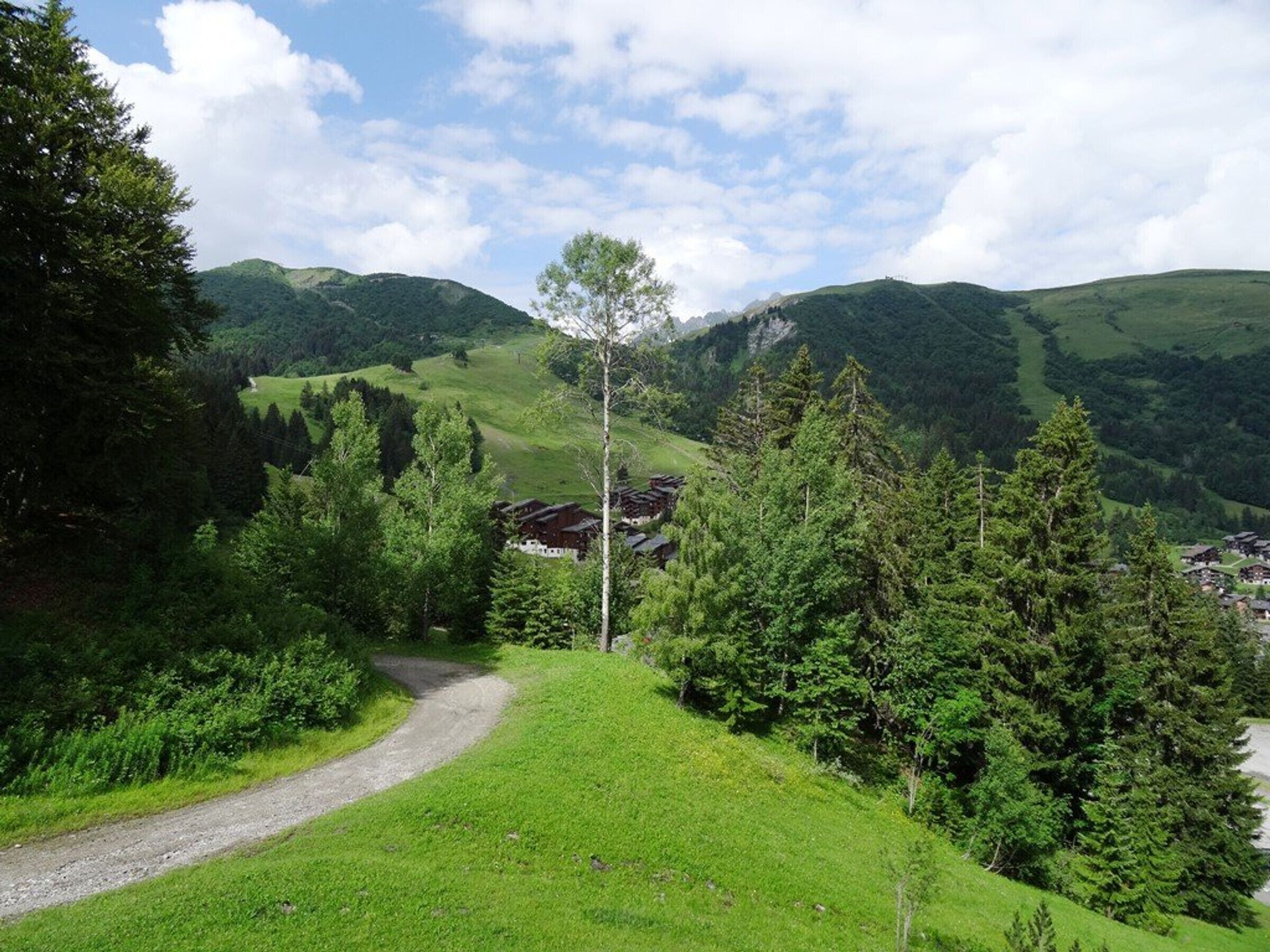 A rural landscape with a dirt road, dense greenery, and a small cluster of traditional buildings.