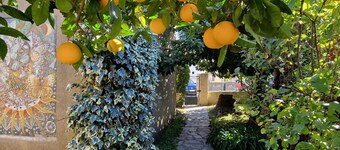 Casa en Banyuls-sur-Mer, cerca de playa y comercios, con aire acondicionado arriba