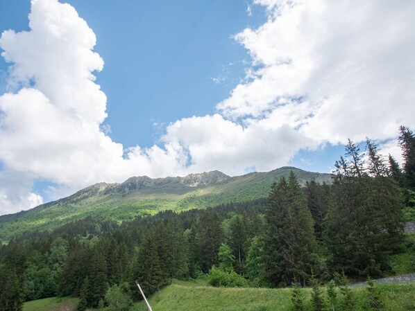 A mountainous landscape with dense forests and a clear sky.