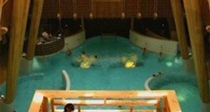 Wunderschöne 6-Zi-Wohnung, 12 Pers - Terrasse, Garage, WIFI