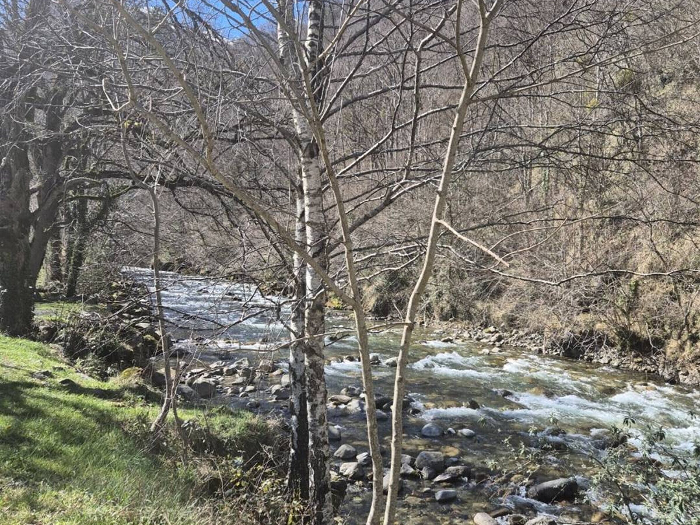 Un río serpenteando por una zona boscosa con árboles y rocas.