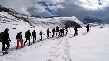 Deportes de invierno y ski