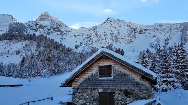 Exterior - Homerez - Apt La Chapelle mtn view. (La Chapelle-d'Abondance)