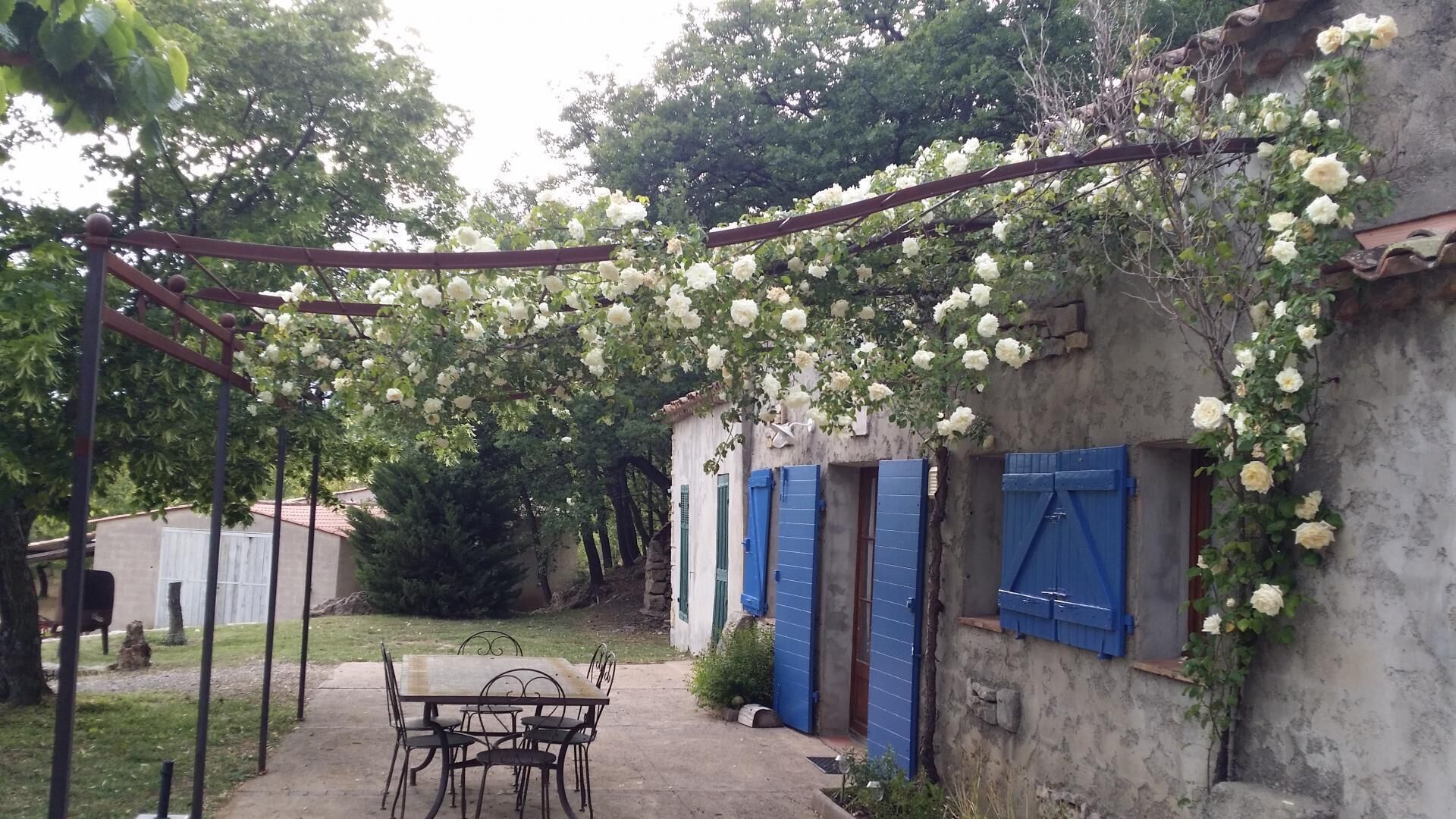 A rustic outdoor area with a table and chairs, a pergola covered with white flowers, and a building with blue shutters.