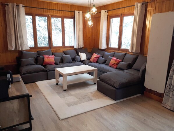 TV, fireplace, video games, DVD player