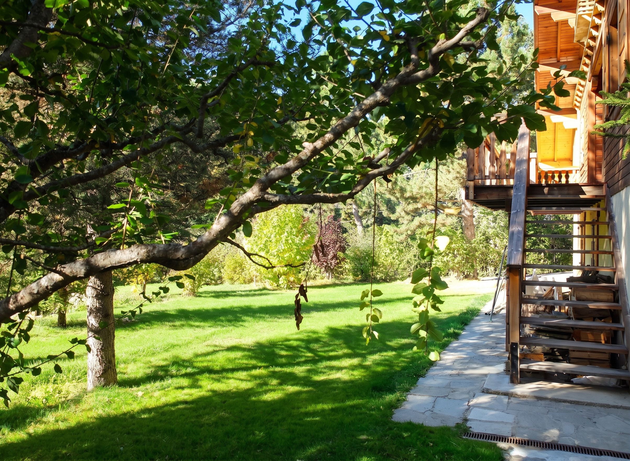 Una terraza de madera con una escalera que conduce a un espacio cubierto, rodeada de abundante vegetación y árboles.