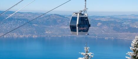 Un teleférico suspendido sobre una masa de agua con árboles nevados en primer plano.