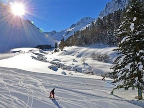 Sneeuw- en skisporten