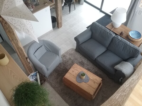 Tv, dvd-spelare, ett bordtennisbord och böcker