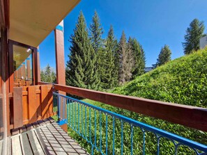 A wooden balcony with a blue railing overlooking a hillside with dense green trees.